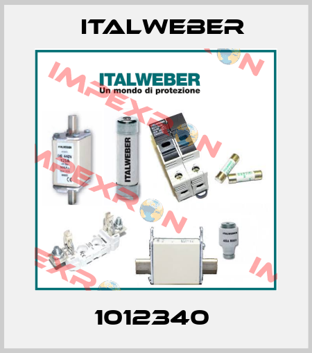 1012340  Italweber