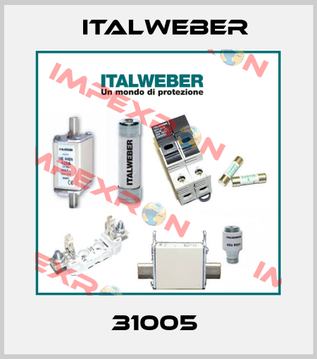31005  Italweber