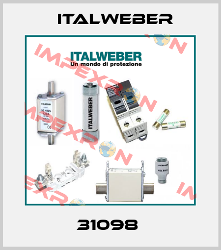 31098  Italweber