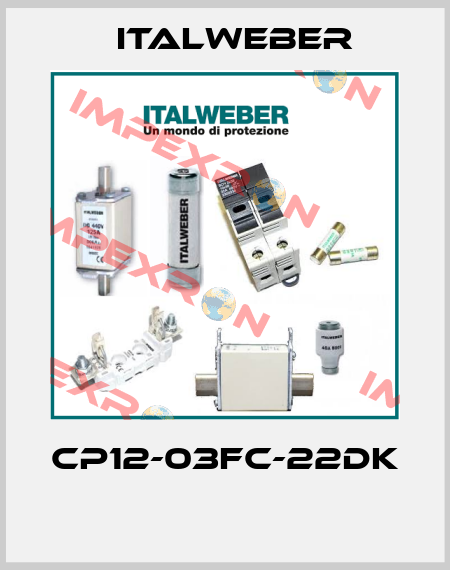 CP12-03FC-22DK  Italweber