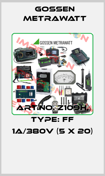 Art.No. Z109H, Type: FF 1A/380V (5 x 20)  Gossen Metrawatt
