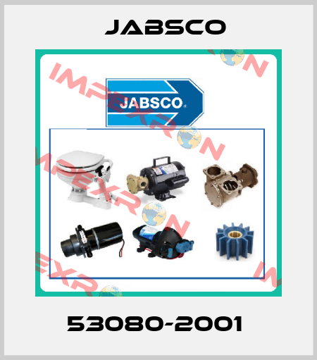 53080-2001  Jabsco