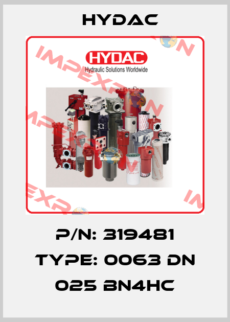 P/N: 319481 Type: 0063 DN 025 BN4HC Hydac