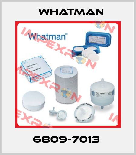 6809-7013  Whatman