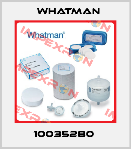 10035280  Whatman