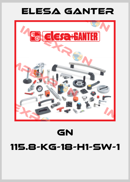 GN 115.8-KG-18-H1-SW-1  Elesa Ganter