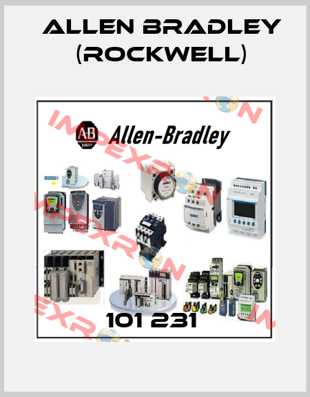 101 231  Allen Bradley (Rockwell)