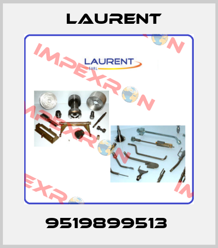 9519899513  Laurent