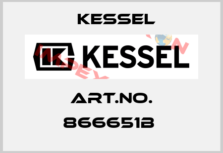 Art.No. 866651B  Kessel