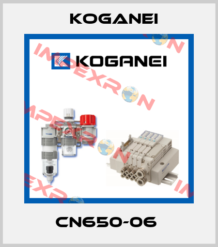 CN650-06  Koganei