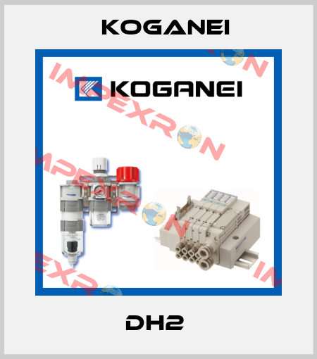 DH2  Koganei