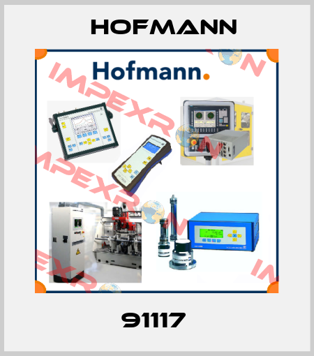 91117  Hofmann