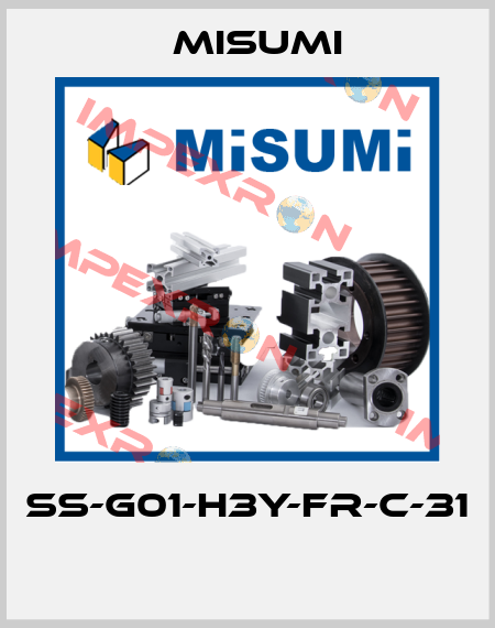 SS-G01-H3Y-FR-C-31  Misumi