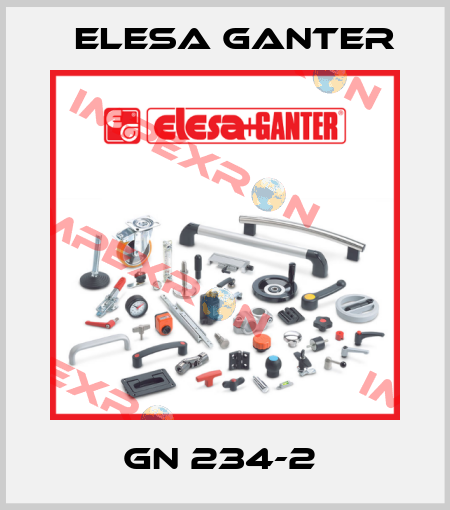 GN 234-2  Elesa Ganter