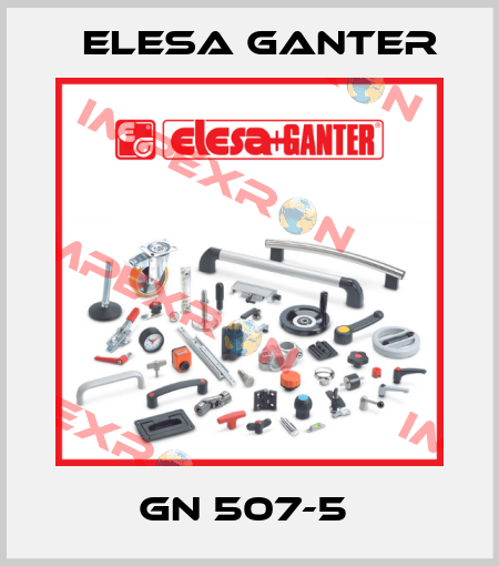 GN 507-5  Elesa Ganter