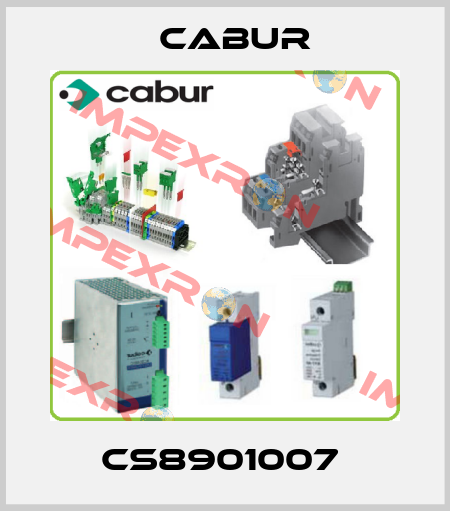 CS8901007  Cabur