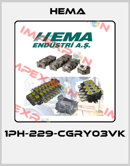 1PH-229-CGRY03VK  Hema