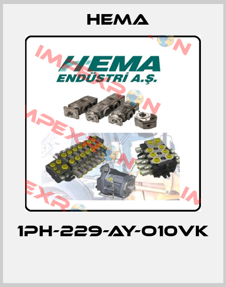 1PH-229-AY-O10VK  Hema