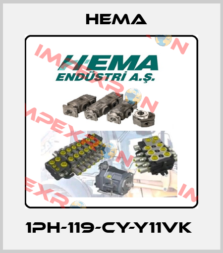 1PH-119-CY-Y11VK  Hema