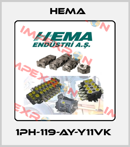 1PH-119-AY-Y11VK  Hema