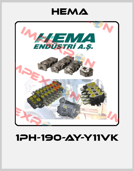 1PH-190-AY-Y11VK  Hema