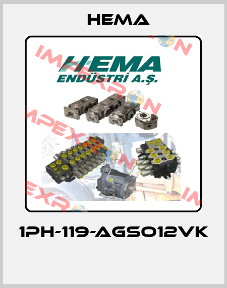 1PH-119-AGSO12VK  Hema