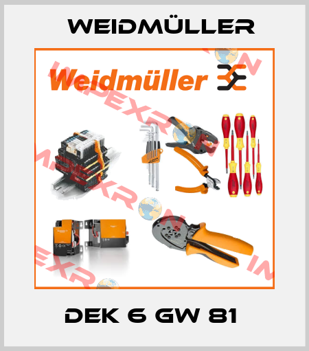 DEK 6 GW 81  Weidmüller