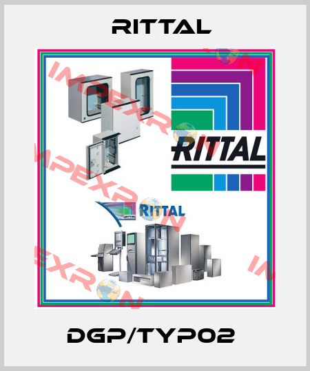 DGP/TYP02  Rittal