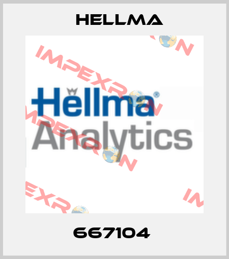667104  Hellma