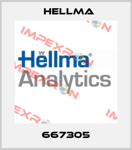 667305 Hellma
