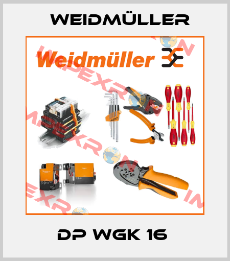 DP WGK 16  Weidmüller
