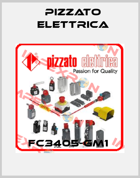FC3405-GM1  Pizzato Elettrica