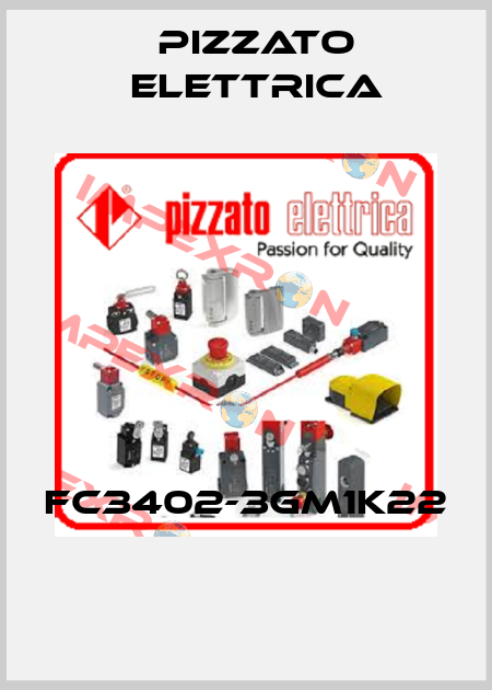 FC3402-3GM1K22  Pizzato Elettrica