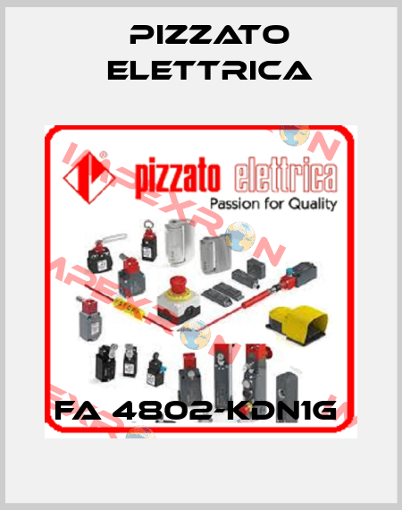 FA 4802-KDN1G  Pizzato Elettrica
