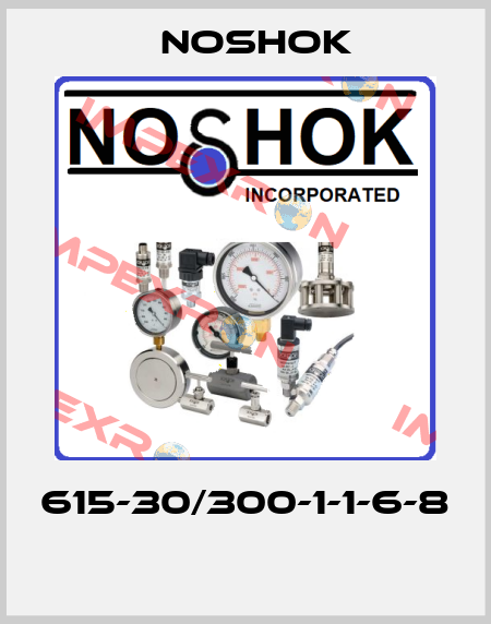 615-30/300-1-1-6-8  Noshok