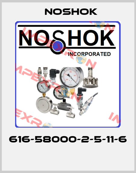 616-58000-2-5-11-6  Noshok