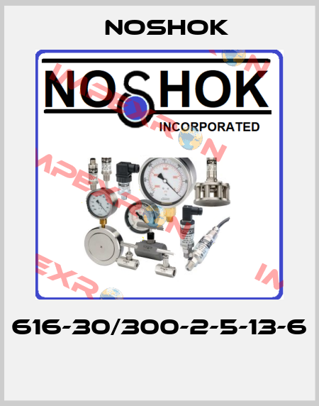 616-30/300-2-5-13-6  Noshok