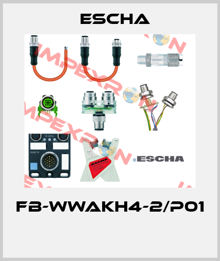 FB-WWAKH4-2/P01  Escha