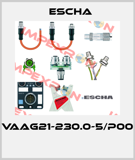 VAAG21-230.0-5/P00  Escha