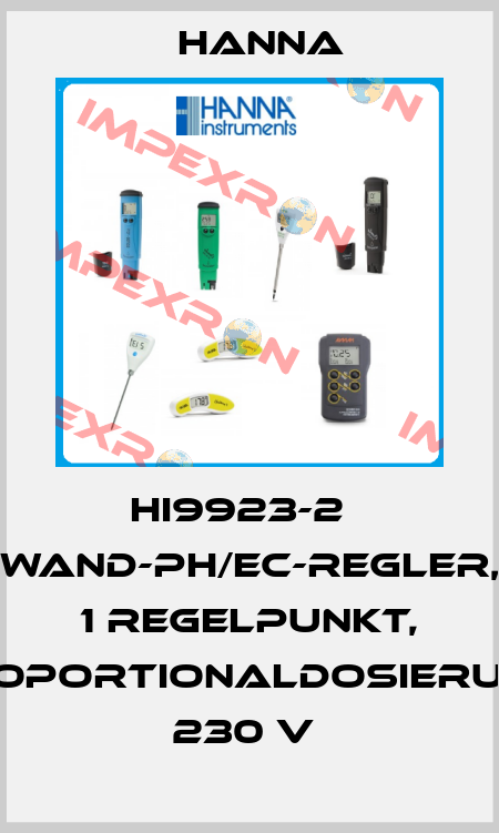 HI9923-2   WAND-PH/EC-REGLER, 1 REGELPUNKT, PROPORTIONALDOSIERUNG, 230 V  Hanna