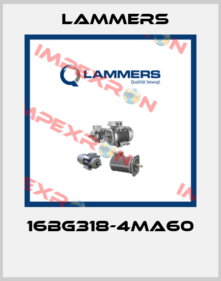16BG318-4MA60  Lammers