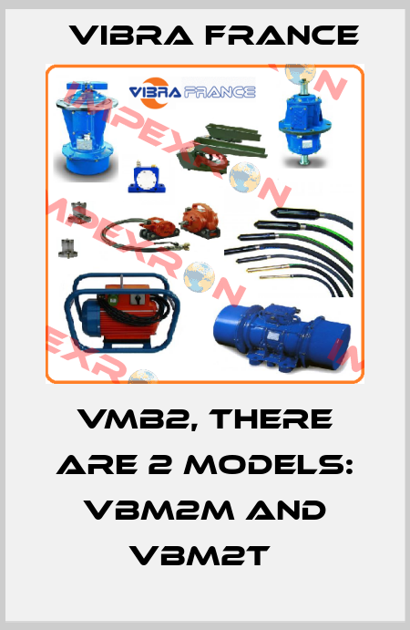 vmb2, there are 2 models: VBM2M and VBM2T  Vibra France