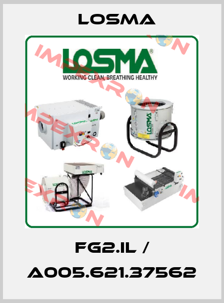 FG2.IL / A005.621.37562 Losma