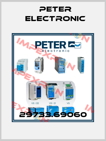 29733.69060 Peter Electronic