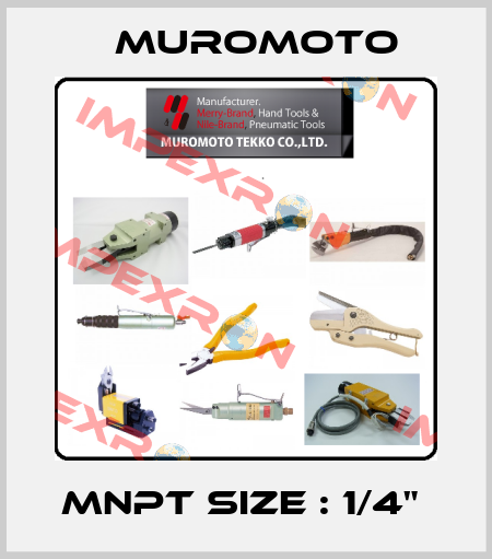MNPT SIZE : 1/4"  Muromoto