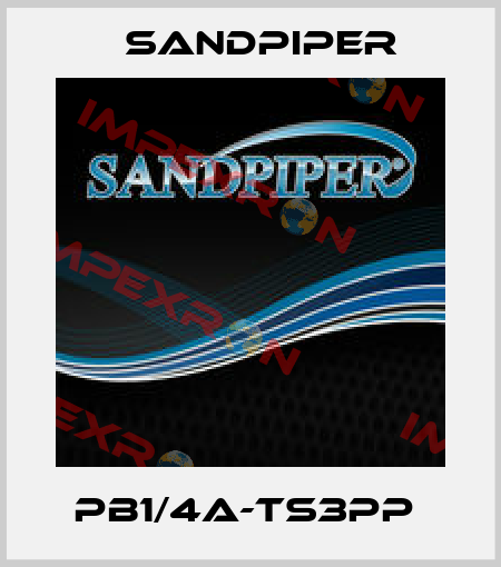 PB1/4A-TS3PP  Sandpiper