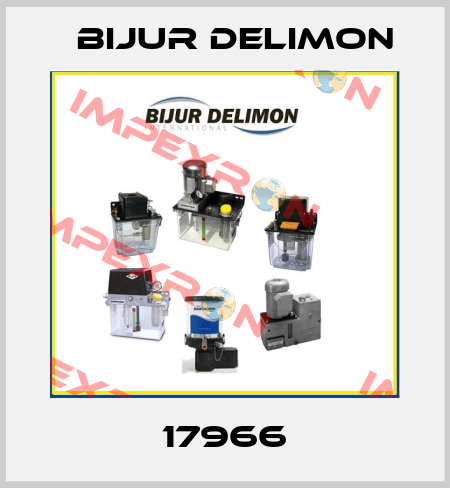 17966 Bijur Delimon