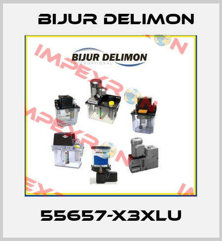 55657-X3XLU Bijur Delimon