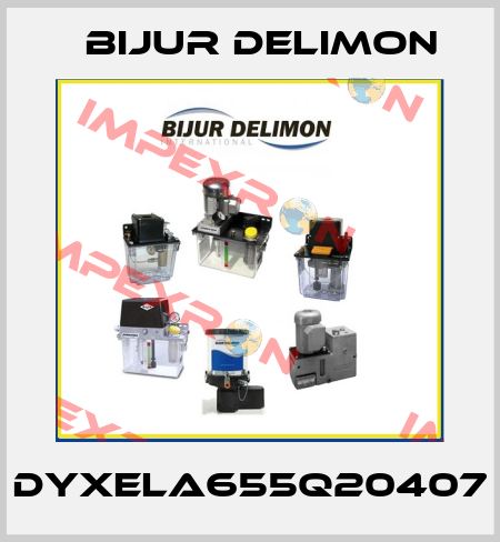 DYXELA655Q20407 Bijur Delimon