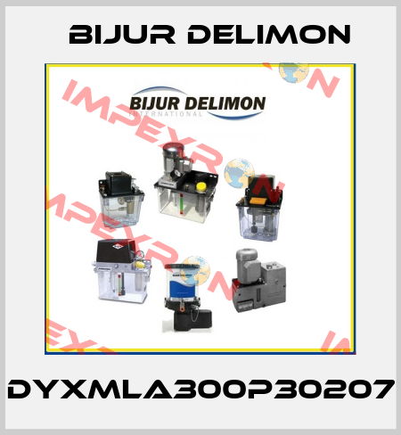 DYXMLA300P30207 Bijur Delimon